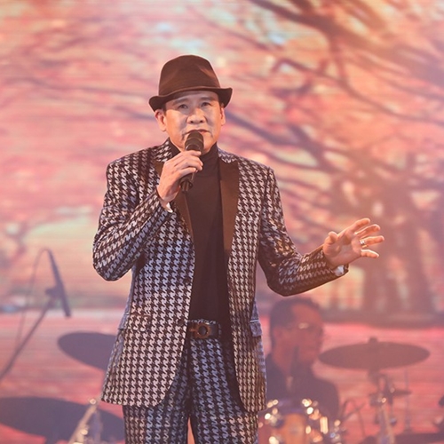 Tuấn Vũ Ngọc Huyền LK CHuyện Hoa Sim Nhạc Hải Ngoại Hay Nhất