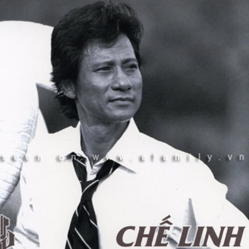 Chế Linh Và Tình Khúc Nhạc Vàng Xưa Vượt Thời Gian