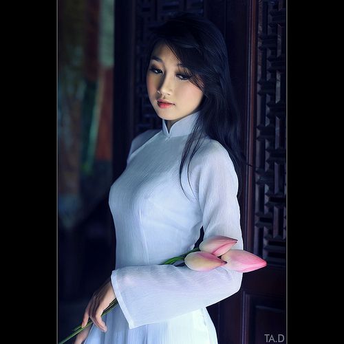 Những Ca Khúc Nhạc Vàng Xưa Hay Nhất Của Chế Linh