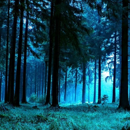 Anh Về Với Em (Trần Thiện Thanh) - Nhật Trường