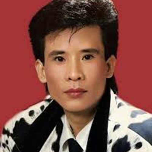 Cặp Đôi Song Ca Huyền Thoại Thập Niên Nhạc Vàng Xưa Để Đờ