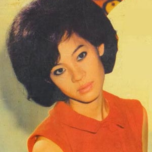 Sầu Lẻ Bóng Cẩm Ly ft Giao Linh ft Phương Dung Tự Tình Quê Hương 5 Live