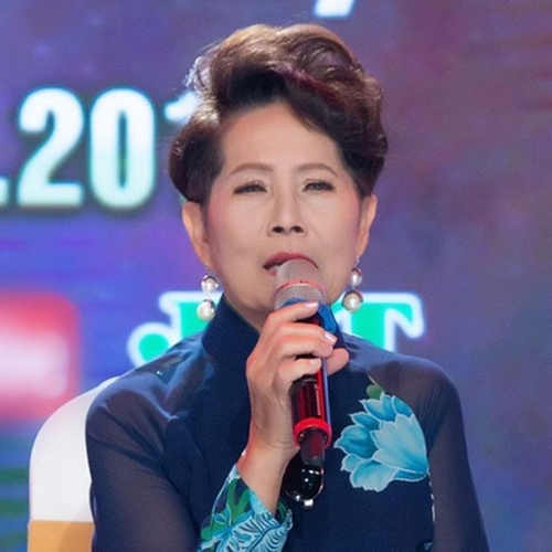 Chuyến Tàu Hoàng Hôn, Con Nhạn Trắng Gò Công - Phương Dung