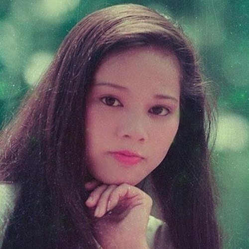 Liên Khúc Sao Không Thấy Hồi Âm Nhạc Trữ Tình Như Quỳnh Cực Hay
