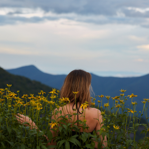 Đám Cưới Đầu Xuân - Nhật Trường