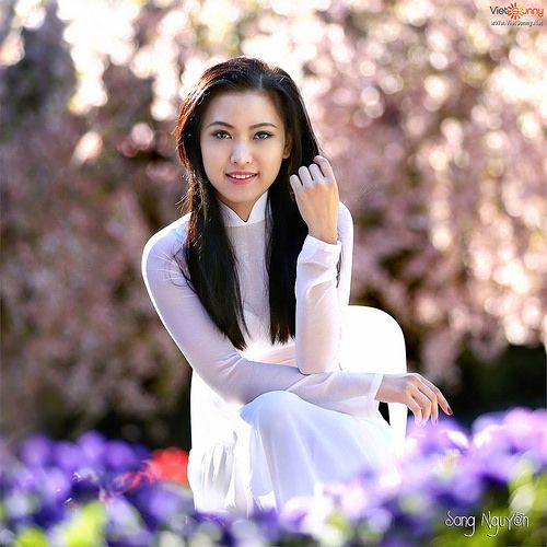 Liên Khúc Nhạc Cách Mạng Hay Nhất Album Bài Ca Năm Tấn